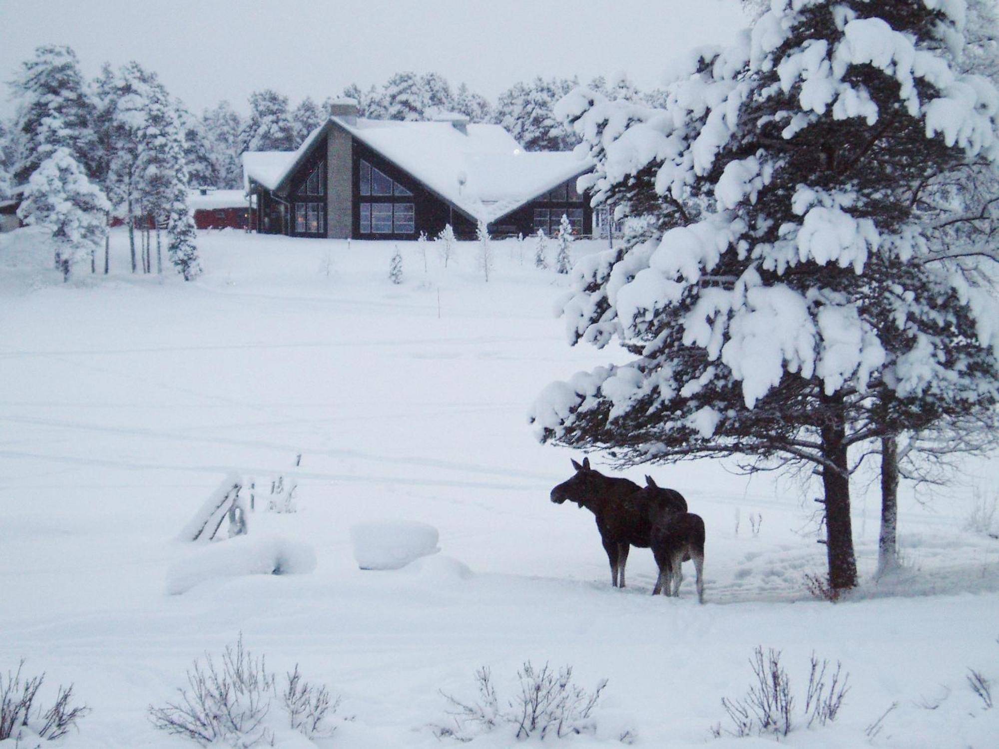 Arrenjarka Mountain Lodge Kvikkjokk エクステリア 写真
